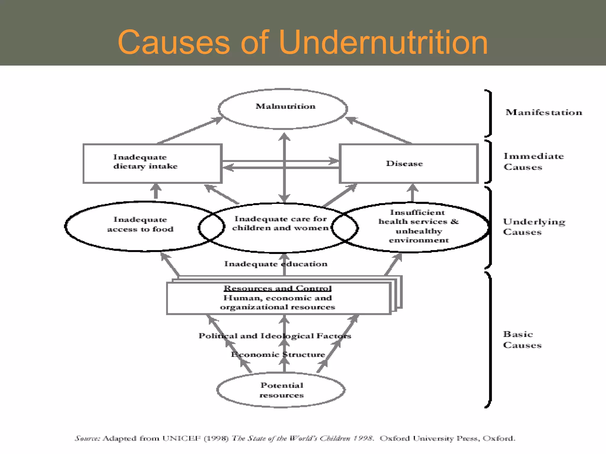 21
Causes of Undernutrition
 