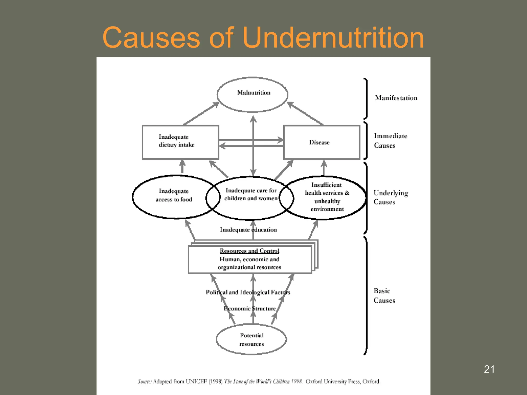 21
Causes of Undernutrition
 