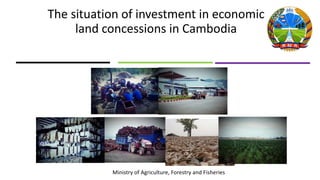 The situation of investment in economic
land concessions in Cambodia
Ministry of Agriculture, Forestry and Fisheries
 