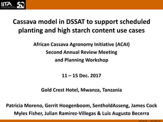 www.iita.org I www.cgiar.org
Cassava model in DSSAT to support scheduled
planting and high starch content use cases
African Cassava Agronomy Initiative (ACAI)
Second Annual Review Meeting
and Planning Workshop
11 – 15 Dec. 2017
Gold Crest Hotel, Mwanza, Tanzania
Patricia Moreno, Gerrit Hoogenboom, SentholdAsseng, James Cock
Myles Fisher, Julian Ramirez-Villegas & Luis Augusto Becerra