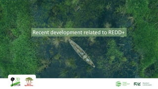 Recent development related to REDD+
 