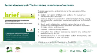 Recent development: The increasing importance of wetlands
To seize opportunities and contribute to the restoration of blue
ecosystems:
1. Global: more policy and technical guidance for blue carbon
management and reporting
2. National: Improved coordination and information sharing among
relevant actors, mainstream blue carbon to national development
agenda
3. South-south collaboration and information sharing to help
countries obtain the knowledge and skills required to implement
strategic policies and research
4. Facilitate cross-disciplinary research
5. Strengthen state and non-state actors’ platform for a participatory
decision-making process
6. Mobilize all sources of finances for blue carbon development, with
agency accessible to local community
(Murdiyarso et al, 2018; Pham and Le Thi, 2019)
 
