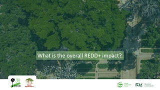 What is the overall REDD+ impact?
 