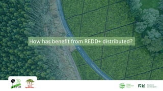 How has benefit from REDD+ distributed?
 