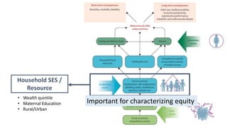 Household SES /
Resource
Important for characterizing equity
• Wealth quintile
• Maternal Education
• Rural/Urban
 