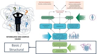 Basic /
Structural
INTERRELATED AND COMPLEX
CAUSES
 