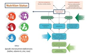 Nutrition Status
Specific micronutrient deficiencies
(iodine, vitamin A, zinc, iron)
Other
 