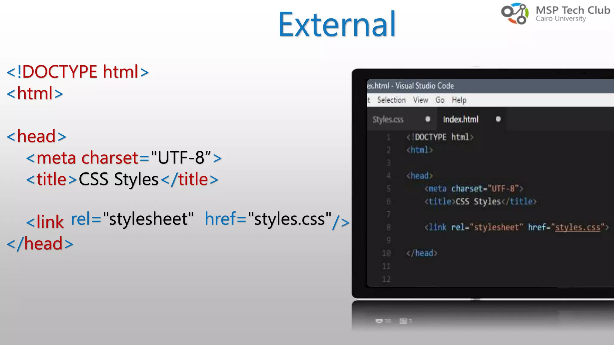 <!DOCTYPE html> <html> <head> <meta charset="UTF-8”> <title>CSS Styles</title> <link /> </head> rel="stylesheet" href="styles.css" External 