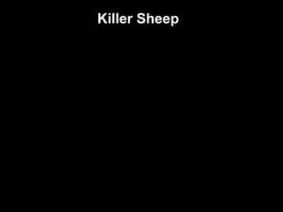 Killer SheepKiller Sheep
 