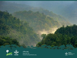 Transparent monitoring in practice: Supporting post-Paris land use sector mitigation (TransMoni)