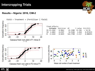 Intercropping Trials
www.iita.org | www.cgiar.org | www.acai-project.org
Results – Nigeria: 2016, CIM-2
Yield ~ Treatment ...