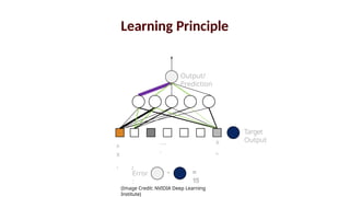 x
x
1 2
x
n
….
.
-
Error
:
Output/
Prediction
Target
Output
=
15
Learning Principle
(Image Credit: NVIDIA Deep Learning
Institute)
 