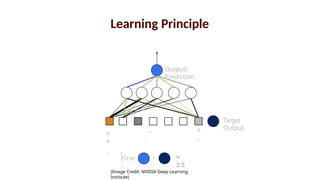 x
x
1 2
x
n
….
.
-
Error
:
Output/
Prediction
Target
Output
=
2.5
Learning Principle
(Image Credit: NVIDIA Deep Learning
Institute)
 