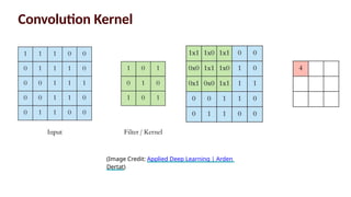 Convolution Kernel
(Image Credit: Applied Deep Learning | Arden
Dertat)
 
