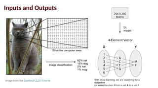 Inputs and Outputs
256 X 256
Matrix
DL
model
4-Element Vector
1
2
3
4
5
6
A
C
T
G
M
F
With deep learning, we are searching for a
surjective
(or onto) function f from a set X to a set Y.
X Y
 