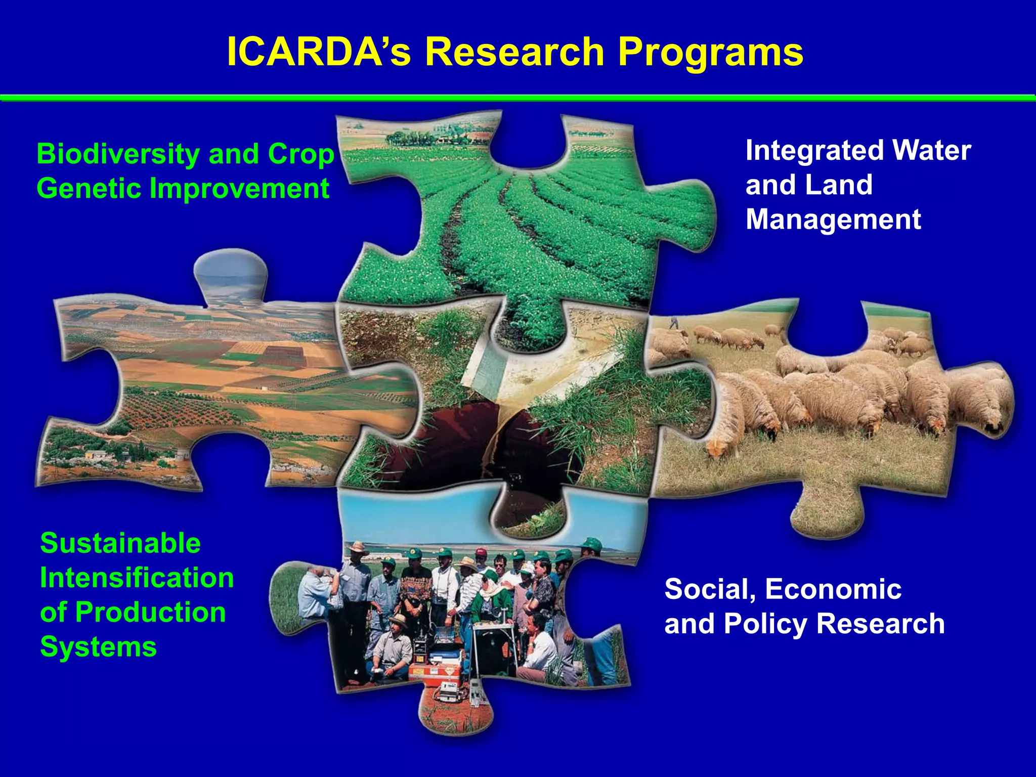 ICARDA’s Research Programs

Biodiversity and Crop                 Integrated Water
Genetic Improvement                   and Land
                                      Management




Sustainable
Intensification                  Social, Economic
of Production                    and Policy Research
Systems
 