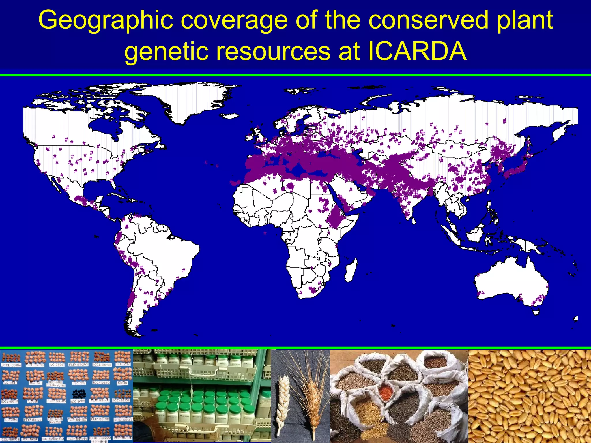 Geographic coverage of the conserved plant
      genetic resources at ICARDA
                                                                                                                                           #
                                                                                                                     #
                                                                                                                         ## #              #          #              #
                                                                                                                 ##
                                                                                                                 #                                                                                                                               #
                                                                                                  #                  # # # # # ##
                                                                                                                           #          # ## # #    #                                                           #              #            #
                                                                                                                           #       ##  # # # #### # # # # # #
                                                                                                                                                     ##
                                                                                                                                                      #                                        #                #
                                                                                                                                                                                                                             ##
                                                                                            #                      ##             ## # ## # # ##
                                                                                                                              ## # # # # ## # # ## # # # # # # # #
                                                                                                                                   #              #
                                                                                                                                                  # #
                                                                                                                                                            # #           #             #
                                                                                                                                                                                        #              # ## # #
                                                                                                                                                                                                                   #
                                                                                                                                                                                                                        #
                                                                                                                      #
        #
                 # #                                                                              # #
                                                                                                   #       ## ####
                                                                                                      # ## ##### # ###
                                                                                                                    ##
                                                                                                                   # #            ##
                                                                                                                                   #
                                                                                                             # ###### # # #### # # # ###  ### # ## # ## ## # # # # ##
                                                                                                                                             # #
                                                                                                                                           # ## #
                                                                                                                                              #                    #
                                                                                                                                                                   #                      #            ### # # #
                                                                                                                                                                                                       ##                      #              ##
                                                                                                                                                                                                                                               #
                           #                                                                                    # # ## ### ## # # ######
                                                                                                                   ##           ## # # ##
                                                                                                                                 ##                          ## #        #                           ## # # #
                                                                                                                                                                                                     # #       ##                   #             #
                                                                                                                                                                                                                                                  ##
                                                                                                                                                                                                                                                  ##           #
                                                                                                                                                                                                                                                               #
#                                #                                                                                  # # # #
                                                                                                        # ## ### # ## ## ## #
                                                                                                        # # # ### # # # # #
                                                                                                        # # # # ### # # # ## #
                                                                                                 # # ## # # # ########### # ## # # # ## # #                #                    #           #
                                                                                                                                                                                                        ### #                 #       ##
                                                                                                                                                                                                                                              ### # ### #
                                                                                                                                                                                                                                                # ##
                                                                                                               ## ## # # #
                                                                                                                        #
    #
    #        #                                  ##                                                             ### # # ## # #
                                                                                                              ### #### ### # # #
                                                                                                              ### ## #### # #
                                                                                                                ## # # #                      # ##
                                                                                                              ## ## ###### ## ##### # # ###### # #
                                                                                                                                                    ##
                                                                                                                                                    ##                               #                    #              #    #               ####### #
                                                                                                                                                                                                                                             ##### ## #
                                                                                                                                                                                                                                             ######## #
                                                                                                                                                                                                                                                 # #           #
                         # #
                                       #                   #                                                   # # # # ##### #
                                                                                                      # ## ####### ############ # #########
                                                                                                          # ## ### #############                  ### ##
                                                                                                                                                    # #
                                                                                                                                                 ######
                                                                                                                                                    #
                                                                                                                                                  ### #                       ##                   ###              #            # #             # ##
                                                                                                                                                                                                                                              #### ###
                                                                                                                                                                                                                                                #
        #                                                                                           ## ########## ############ # # ## #### ##
                                                                                                #### #
                                                                                                                   #
                                                                                                               # # ####### #
                                                                                                                           ## #
                                                                                                              # ### ####### ###
                                                                                                                              ## ###
                                                                                                                                 ###               ## ## ##
                                                                                                                                                         ## #
                                                                                                                                                     # #### #
                                                                                                                                                        ###                 #
                                                                                                                                                                           ##             ######## ## ##
                                                                                                                                                                                              ##### ##
                                                                                                                                                                                                ####
                                                                                                                                                                                                   #
                                                                                                                                                                                      ######### ## ##
                                                                                                                                                                                       ### ####
                                                                                                                                                                                       ########
                                                                                                                                                                                        # ##   ####
                                                                                                                                                                                                  ##        #                                  ### #
                                                                                                                                                                                                                                             #### ### # # ##
                                                                                                                                                                                                                                                #
                                                                                                                                                                                                                                                #
                                                                                                                                                                                                                                               # ##
                                                                                                                                                                                                                                               ### # #      # #
                   #       #          #                                                       ###### #
                                                                                                # ## #
                                                                                                    #
                                                                                             ########
                                                                                              ##### #
                                                                                                 ##
                                                                                                #####
                                                                                           ######## #
                                                                                                                   # ## ### ## #### # ## ######
                                                                                                                 # # ### ### ###### ##### ###### ## #
                                                                                                                        ## #### ##### # ### # #### #
                                                                                                                             ## # #
                                                                                                                         # ### # #### #
                                                                                                                              # ##
                                                                                                                              ## # # #### # # #### ##
                                                                                              ###### # # ################################
                                                                                                                       ### #### ####################
                                                                                                                       ## #### ####################
                                                                                                                                                        ##
                                                                                                                 # ##### #### #################### # # ## ##########
                                                                                                                                                                           ##          ### # #
                                                                                                                                                                                       ### #                                                 ## #
                                                                                                                                                                                                                                                #
                                                                                                                                                                                                                                                # #
                                                                                                                                                                                                                                                #
#        #        ## ###     # ## # # #                                                       #####
                                                                                             ####### #
                                                                                           ####### #
                                                                                               ## # #
                                                                                               ####                            ## # # ### # ### ####
                                                                                                                              ##
                                                                                                                              ### ### ############## #
                                                                                           ####### ## # # ##### ########################## # ## # ######### #
                                                                                                                         ## ### ######### # #### # #
                                                                                                                         # ### ###################
                                                                                                                 # # ### ##### ## #### #     ## ##### #####
                                                                                                                                                        #
                                                                                                                                                        ## # #                    #######
                                                                                                                                                                                      ####
                                                                                                                                                                                       ## #
                                                                                                                                                                                    ###### #
                                                                                                                                                                                         #
                                                                                                                                                                                         #
                                                                                                                                                                                    ######
                                                                                                                                                                                         #
                                                                                                                                                                                         #
                                                                                                                                                                                         #
                                                                                                                                                                                                                  #
                                                                                                                                                                                                                  #               # ## # #
                                                                                                                                                                                                                                      ##                     ##
#                                                                          #               ### #
                                                                                          #######
                                                                                           ### #
                                                                                          ########
                                                                                          ####### #
                                                                                            # #
                                                                                          #######               #       # ## ###### ####### # #
                                                                                                                                        # # #######
                                                                                                                # ## ### # #################
                                                                                                                                # ### ### ###### # #
                                                                                                                                        # # ## ##
                                                                                            # ## # ####### ### ### #################### # ##### # #########
                                                                                                                                                                       ##          #### #
                                                                                                                                                                                    ###
                                                                                                                                                                                      #
                                                                                                                                                                                   ### # #                              # # # # ##### ## ###
                                                                                                                                                                                                                                      ###         #          #
                                                                               #            ##             #### #
                                                                                                            ## # #
                                                                                                           ### ## #
                                                                                                            ## ##
                                                                                                            ###                 # ### ## ######### #
                                                                                           ##### # ######### ### ############################### # # #########
                                                                                                                                ## ### # ######## # # # ###
                                                                                           #### ############ ### ################################# ########### #
                                                                                            ####         ###### ### ## ################### ### ###### #########
                                                                                                                                 #      # ## #####
                                                                                                                                        ###
                                                                                                                                ## # ## ########### ###
                                                                                          ################# ### ############################################# ##
                                                                                           ####                                 ## ### ## ##### # # ##
                                                                                                                                                   ####
                                                                                                                                        ## # ##### #
                                                                                                                                                   ##                  # ##
                                                                                                                                ## # #### ########### ### # ## ### ########
                                                                                                                                                                       # ##
                                                                                                                                #### ### ## ########### ## ##### # #######
                                                                                                                                                    ##                               ####
                                                                                                                                                                                     ## ##
                                                                                                                                                                                      ## #                              # # # # # ## # #
                                                                                                                                                                                                                                      #                    ##
                                                                                                                                                                                                                                                            ##
                     # # #          #                                                           #
                                                                                               ### ## #######
                                                                                                #
                                                                                                #           #####
                                                                                                            #
                                                                                               ### ##### ##### #
                                                                                              ############### ##
                                                                                                ## # #### #
                                                                                                #                                 ###
                                                                                                                                   ##
                                                                                                                                   ##             ## ## # # ##
                                                                                                                                  ## # ## ############## ## # ##############
                                                                                                                                           ###############
                                                                                                                                            # ### # ########
                                                                                                                                            # ##############
                                                                                                                                                ## #### ##
                                                                                                                                                    ## #
                                                                                                                                            # ##### ########
                                                                                                                                                                                      ## #
                                                                                                                                                                                       ## #
                                                                                                                                                                               ### ## #####
                                                                                                                                                                                      ##### #
                                                                                                                                                                                       ##
                                                                                                                                                                           # ##############
                                                                                                                                                                                      ## # #
                                                                                                                                                                                                                         ## # # ###
                                                                                                                                                                                                                        ##### # ##### #
                                                                                                                                                                                                                        ###
                                                                                                                                                                                                                        ### # # ## # #
                                                                                                                                                                                                                           #                     # #######
                                                                                                                                                                                                                                                  #
                                                                                                                                                                                                                                                 ## ########
                                                                                                                                                                                                                                                         # #
                                                                                                                                                                                                                                                  # # ## ##
                                                                                                                                                                                                                                                       ## #
                                                                                                                                                                                                                                                       #####
  ##
              #          #      #                                                              ### # ## # # ##
                                                                                              ####### ### ## ##
                                                                                             ####### #### #####
                                                                                                ##
                                                                                            ####### # # # ##### ##
                                                                                           ######## ## ## ###### ###
                                                                                            ##### #
                                                                                            ######
                                                                                           ####### ### # ###### ### ###
                                                                                               #####
                                                                                                # #
                                                                                                 ####           ##             # ##
                                                                                                                                   #
                                                                                                                                                ## #########
                                                                                                                                               ##
                                                                                                                                              ## #            ## # #
                                                                                                                                                                  #
                                                                                                                                                          # #### ##           # ## ########
                                                                                                                                                                              ##############
                                                                                                                                                                                # #### #####
                                                                                                                                                                              #### #########
                                                                                                                                               ## ###### #### ## ##############
                                                                                            ####### # # ####### ### ## # #### # ######### # ## ####### ###### # # # # #
                                                                                                                                                         ## ## #                      ##
                                                                                                                                                                              ## # # #######
                                                                                                                                                           # # ## ## # # #### ######
                                                                                                                                                                                                #                           # ##       #
                                                                                                                                                                                                                                        # ##         ## #
                                                                                                                                                                                                                                                    ## #
                                                                                                                                                                                                                                                     #
                                                                                           ###
                                                                                          ####
                                                                                           #
                                                                                          #####
                                                                                           ###
                                                                                         #####
                                                                                         ##### ## #
                                                                                          ####
                                                                                         ##### #                                      ## # ##
                                                                                                                 ##### # # # ##########
                                                                                                                  # ## # #            ######## #
                                                                                                                                              ##
                                                                                                                                              ##
                                                                                                                                              ###          ####### # # ## ###########
                                                                                                                                                                ### # # # ######## ## # # # # #
                                                                                                                                                                # # #
                                                                                                                                                           ## ### # # # ### #######
                                                                                                                                                                 ### # # ## # ##### #####
                                                                                                                                                                                    ## # # # #
                                                                                                                                                                                     # # #                                           # #####
                                                                                                                                                                                                                                           #         #
            #
            #                     #                                                      ###
                                                                                       # ### # #
                                                                                          #
                                                                                         ###
                                                                                         ###                     ##      ##           ## ####
                                                                                                                                      ## ###
                                                                                                                                    # # ### ####
                                                                                                                                               #           #
                                                                                                                                                                                    ## # ### # ##
                                                                                                                                                                                     ## # #
                                                                                                                                                          # #### # # # #### # # #### # #### #
                                                                                                                                                                  ## # ### # ###### # #############
                                                                                                                                                                  ##              #####
                                                                                                                                                                                    #                        ##               ##
                                                                                                                                                                                                                          # ### # # # ####
                                                                                                                                                                                                                             ##
                                                                                                                                                                                                                              #
                                                                                                                                                                                                                             ##
                                                                                                                                                                                                                              ##           #
                                                                                                                                                                                                                                           #
                                                                                                                                                                                                                                           #
                                                                                                                                                                                                                                          ##
                                                                                   #### #
                                                                                    ## #
                                                                                    ##
                                                                                    #     ##                                             #                        # # ##
                                                                                                                                                                    # #          ##### # ######## ###
                                                                                                                                                                 # # ### ## ##### # ############
                                                                                                                                                                                   ##                ##
                                                                                                                                                                                                     ### # ##
                                                                                                                                                                                                    ### ### #
                                                                                                                                                                                                     ### ##
                                                                                                                                                                                 #### ## ########### ###
                                                                                                                                                                                  ##
                                                                                                                                                                                  #### # # ############
                                                                                                                                                                                   ##                         #           # ## #    ### ###
                                                                                                                                                                                                                                       # ###
                                                                                                                                                                                                                                           #
                                                                                                                                                                                                                                           #
                ##
                                                                                                      #               #
                                                                                                                     ###
                                                                                                                      ##
                                                                                                                  # ###
                                                                                                                     ###
                                                                                                                       ##
                                                                                                                                       # ###
                                                                                                                                          ##                           # # ## ## # # # ######### ##
                                                                                                                                                                                  ##
                                                                                                                                                                                # # ## # # ######## #
                                                                                                                                                                        # # ## ## # # ### #######
                                                                                                                                                                                # #    # # # ###### #
                                                                                                                                                                                      # # # #
                                                                                                                                                                                                       ##
                                                                                                                                                                                                        # ##            # ## # # # # # #
                                                                                                                                                                                                                           # # #
                                                                                                                                                                                                                           ##
                                                                                                                                                                                                                            #     #
                                                                                                                                                                                                                                          #
                                                                                                            # # #
                                                                                                            # #
                                                                                                             #                             ##
                                                                                                                                            #                #         ## #
                                                                                                                                                                        ##
                                                                                                                                                                        ##
                                                                                                                                                                         ###
                                                                                                                                                                        ###
                                                                                                                                                                        ###            # #
                                                                                                                                                                                      # # # ## #             ##
                                                                                                                                                                                                              #            #
                                                                                                                                                                                                                           ##     # ##
                                                                                                                                                                                                                                     ##
                                                                                                                                                      ##
                                                                                                                                                                         ##
                                                                                                                                                                         #                # # # # # ##
                                                                                                                                                                                                 # #
                                                                                                                                                                                         # ## # ## ### ##
                                                                                                                                                                                         # # # ## ### #
                                                                                                                                                                                                              #
                                                                                                                                                                                                              #
                                                                                                                                                                                                              #                   ##
                       #### # #
                        # ##                                                                                                                           #
                       #####
                          ##
                          ## #
                           #                                                                                                             ## #
                                                                                                                                         ###
                                                                                                                                           ##          ##
                                                                                                                                                        ##                                  ## #
                                                                                                                                                                                            ##
                            # ##
                            #                                                                                                               # # ## #
                                                                                                                                            #
                                                                                                                                             #
                                                                                                                                             #
                                                                                                                                           # # ### #
                                                                                                                                                         ##
                                                                                                                                                          #
                                                                                                                                                          #
                                                                                                                                                          #          #
                                                                                                                                                                     #                       # #
                                                                                                                                                                                              ##   #
                                ##
                                                                                                                                   # # ## #### ###
                                                                                                                                         # # #### ##
                                                                                                                                         ## ### ##  # #
                                                                                                                                                   ## #
                                                                                                                                                   ## #
                                                                                                                                                     # ##
                                                                                                                                                  ### #
                                                                                                                                                           #                                  #
                                                                                                                                                 ### ##
                                                                                                                                                  ##
                                                                                                                                                 ####
                                                                                                                                                 ### #                                        # ###
                                     #            # ##
                                                  #                                                                                              ### #
                                                                                                                                               ######
                                                                                                                                                  ###
                                                                                                                                                  ##
                                                                                                                                                   ##
                                                                                                                                                  ###
                                                                                                                                                  ###
                                                                                                                                                   ###
                                                                                                                                                     #
                                                                                                                                              ###### #
                                                                                                                                                 ### #
                                                                                                                                                                                                 #
                                                                                                                                                                                                 ##
                                            # #                                                                                                 ###
                                                                                                                                               #####
                                                                                                                                                #####
                                                                                                                                                ###
                                                                                                                                                  ##
                                                                                                                                              ######
                                                                                                                                             ######
                                                                                                                                                  #
                                                                                                                                                  #
                                                                                                                                                  ##
                                                                                                                                                ####
                                                                                                                                                 ###
                                                                                                                                                ####
                                                                                                                                                 ###
                                             #
                                             #                                                                                           # # ## ###
                                                                                                                                                  ##
                                                                                                      #                                       #
                                          ##
                                           #
                                           #
                                           #
                                          ##
                                          ##
                                           #
                                          #
                                         ##
                                          #
                                          #
                                         ##                                                                                                        #
                                            ##
                                            ##
                                            ## #
                                              ##
                                              ##
                                               # ####
                                                 ### #
                                                  ###
                                                   #                                                                                           #
                                                      #                #                                                           #
                                                    ## #                                                                                                                                                                             #
                                                               #   #
                                                                                                                                      #
                                                                                                                                  ## #                                                                                                                                     #
                                                 # #         ##                                                                    ##
                                                                                                                                    #
                                                 #
                                                 #
                                                 #   ## # # #
                                                            #                                                               #      #                                                                                                 ##
                                                                                                                                                                                                                                     #
                                                ##
                                                #
                                                ##
                                                 #
                                                ##
                                                        #
                                               ## # # # #
                                                ##
                                                                                                                                                                                                                                                         #
                                                                                                                                                                                                                                                         #           #
                                                                                                                                                                                                                                                                      #
                                                                                                                                                                                                                                                                    ## #
                                               ##
                                               #
                                               #
                                                #
                                               ##
                                               ##
                                                #
                                                #    # #                                                                                                                                                                                                        #
                                               #
                                               #
                                               #      #                                                                                                                                                                                                        #
                                                 #


                                                   #




                                                                                             ICARDA's holdings
 