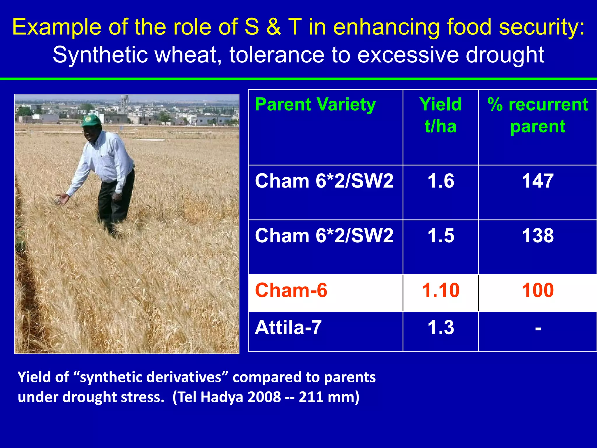 Example of the role of S & T in enhancing food security:
   Synthetic wheat, tolerance to excessive drought

                                  Parent Variety       Yield   % recurrent
                                                       t/ha      parent


                                  Cham 6*2/SW2         1.6        147

                                  Cham 6*2/SW2         1.5        138

                                  Cham-6               1.10       100
                                  Attila-7             1.3          -

Yield of “synthetic derivatives” compared to parents
under drought stress. (Tel Hadya 2008 -- 211 mm)
 