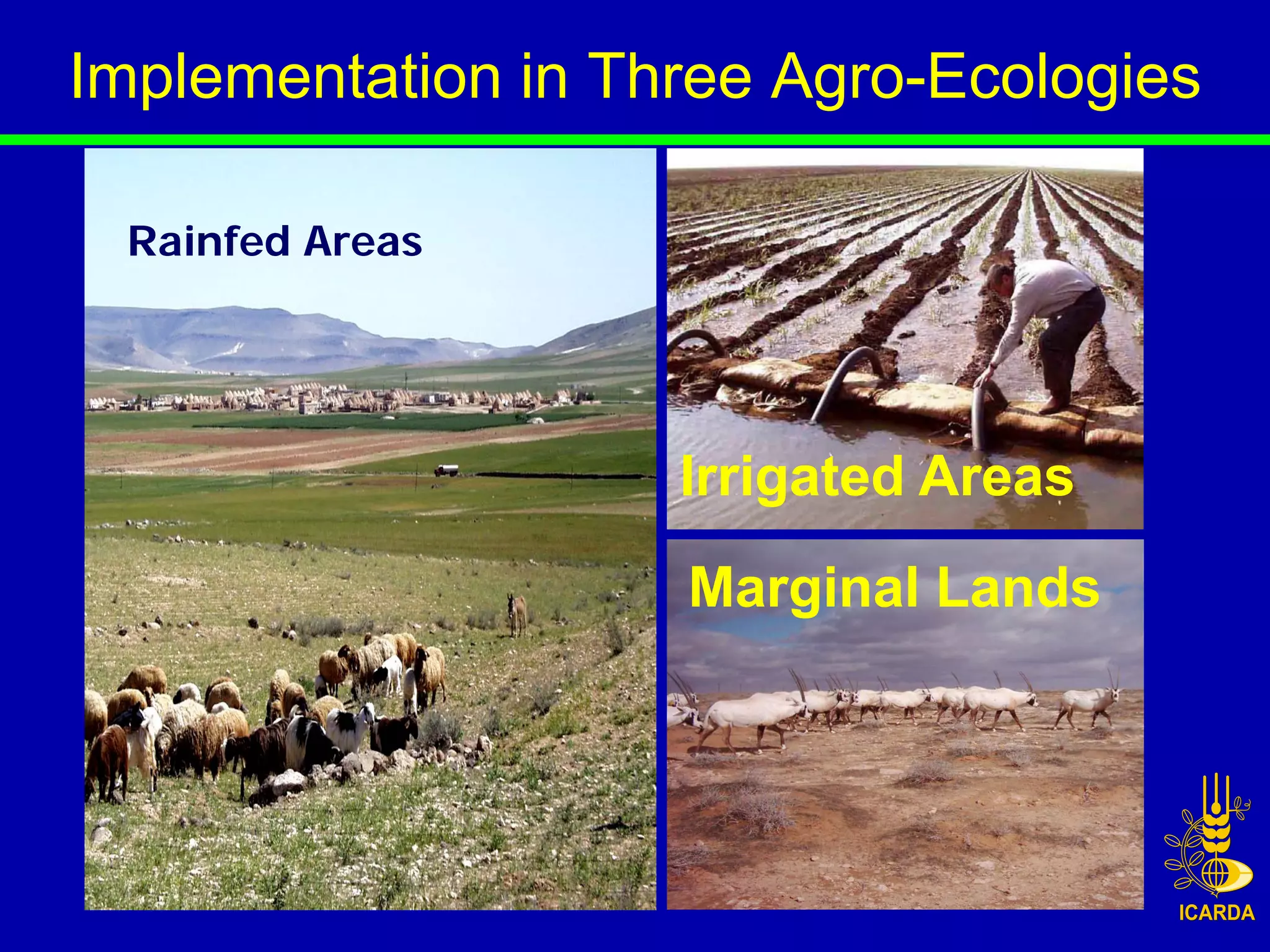 Implementation in Three Agro-Ecologies

 Rainfed Areas




                    Irrigated Areas
                    Marginal Lands
 