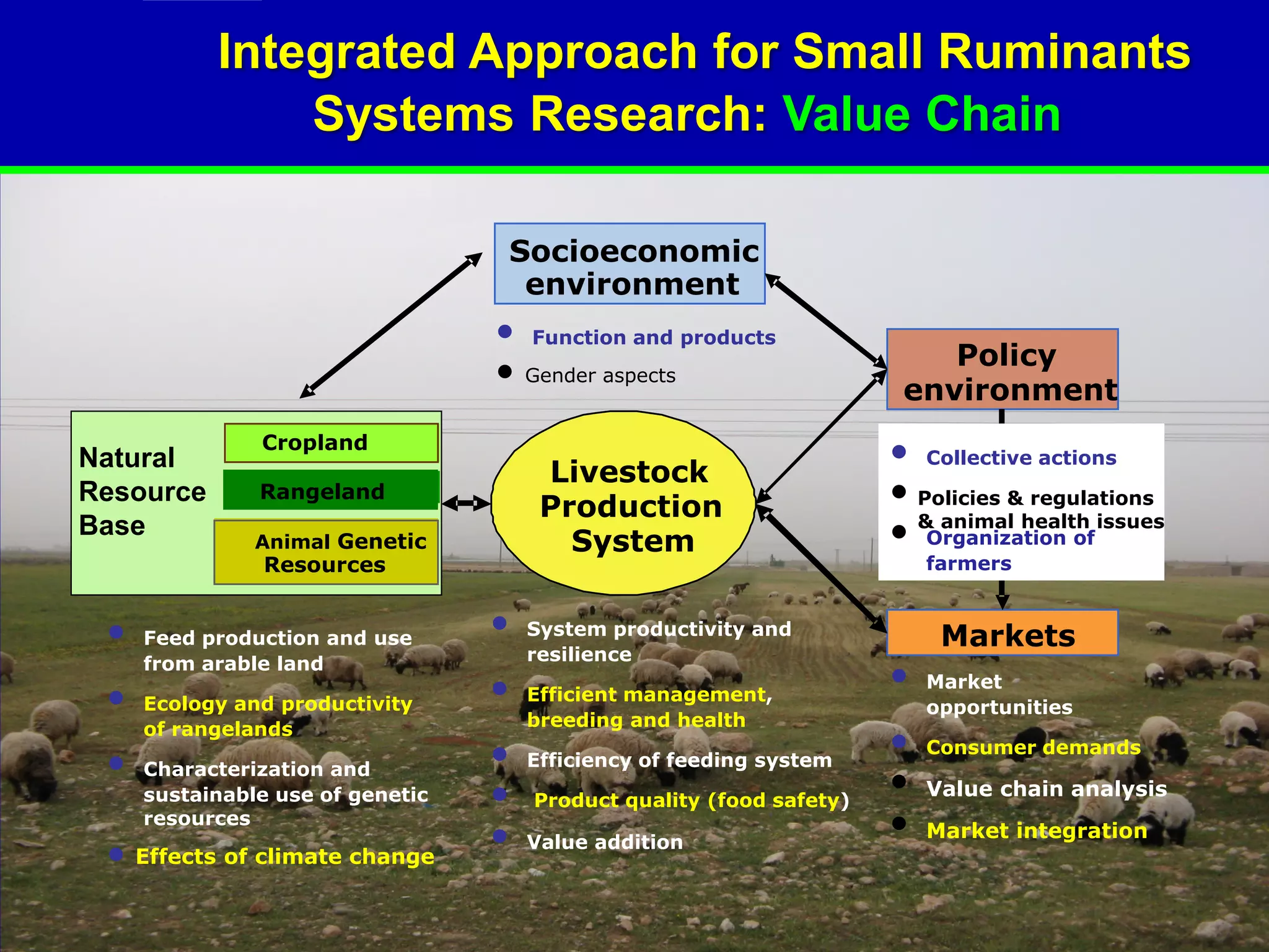 Integrated Approach for Small Ruminants
               Systems Research: Value Chain

                                   Socioeconomic
                                    environment
                                  • Function and products
                                                                          Policy
                                  • Gender aspects                     environment

Natural
               Cropland
                                                                      • Collective actions
                                       Livestock
Resource       Rangeland
                                       Production                     • Policies & regulations
Base           Animal Genetic            System                       • & animal health issues
                                                                         Organization of
               Resources                                                  farmers


 •   Feed production and use
                                  •   System productivity and
                                                                           Markets
                                      resilience
     from arable land
                                  •                                   •   Market
 •   Ecology and productivity         Efficient management,
                                      breeding and health
                                                                          opportunities
     of rangelands
                                  •                                   •   Consumer demands
 •   Characterization and             Efficiency of feeding system
                                                                      •
     sustainable use of genetic   •   Product quality (food safety)
                                                                          Value chain analysis
     resources
                                  •                                   •   Market integration
 • Effects of climate change          Value addition
 