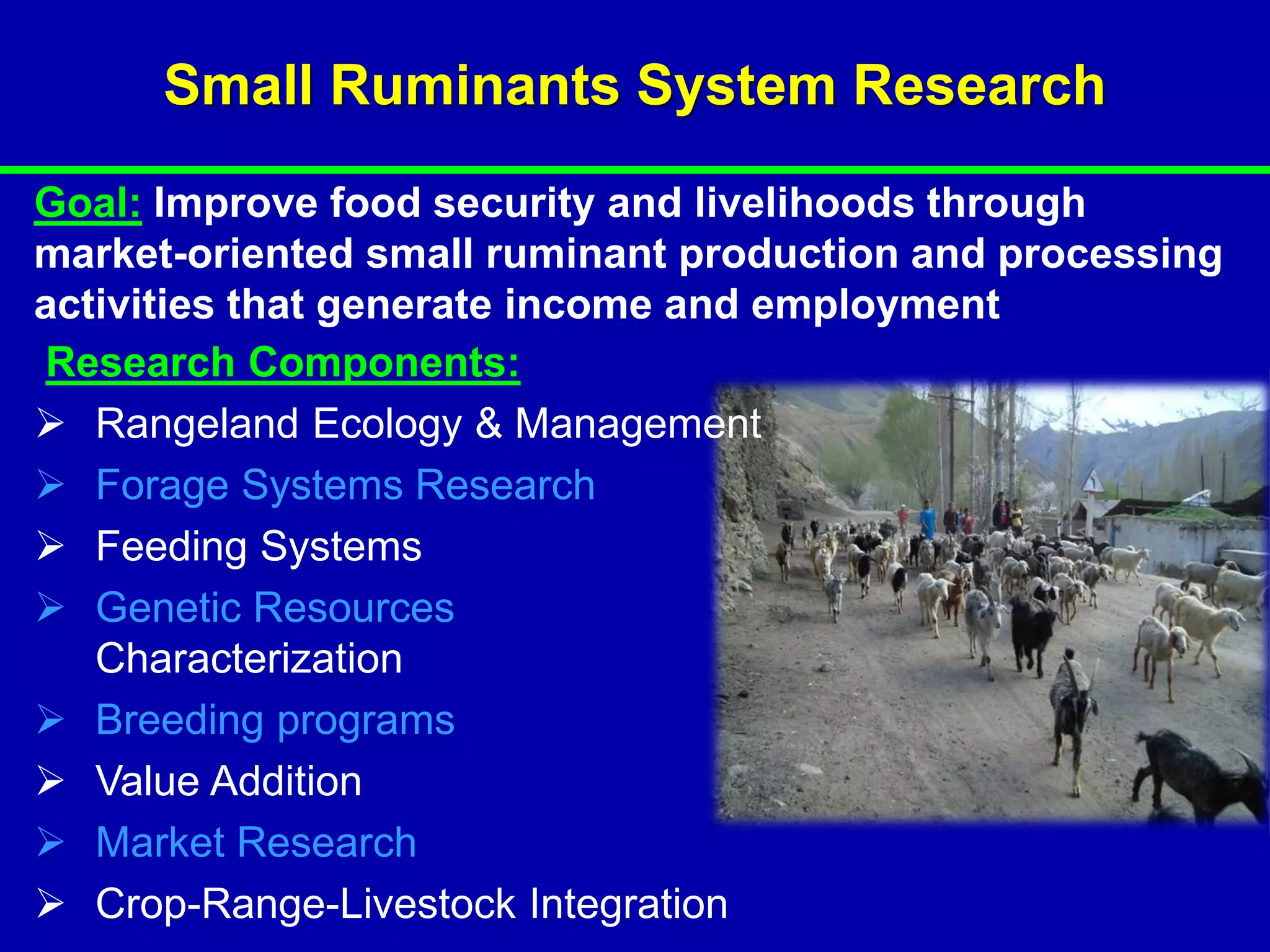 Small Ruminants System Research
Goal: Improve food security and livelihoods through
market-oriented small ruminant production and processing
activities that generate income and employment
Research Components:
 Rangeland Ecology & Management
 Forage Systems Research
 Feeding Systems
 Genetic Resources
   Characterization
 Breeding programs
 Value Addition
 Market Research
 Crop-Range-Livestock Integration
 