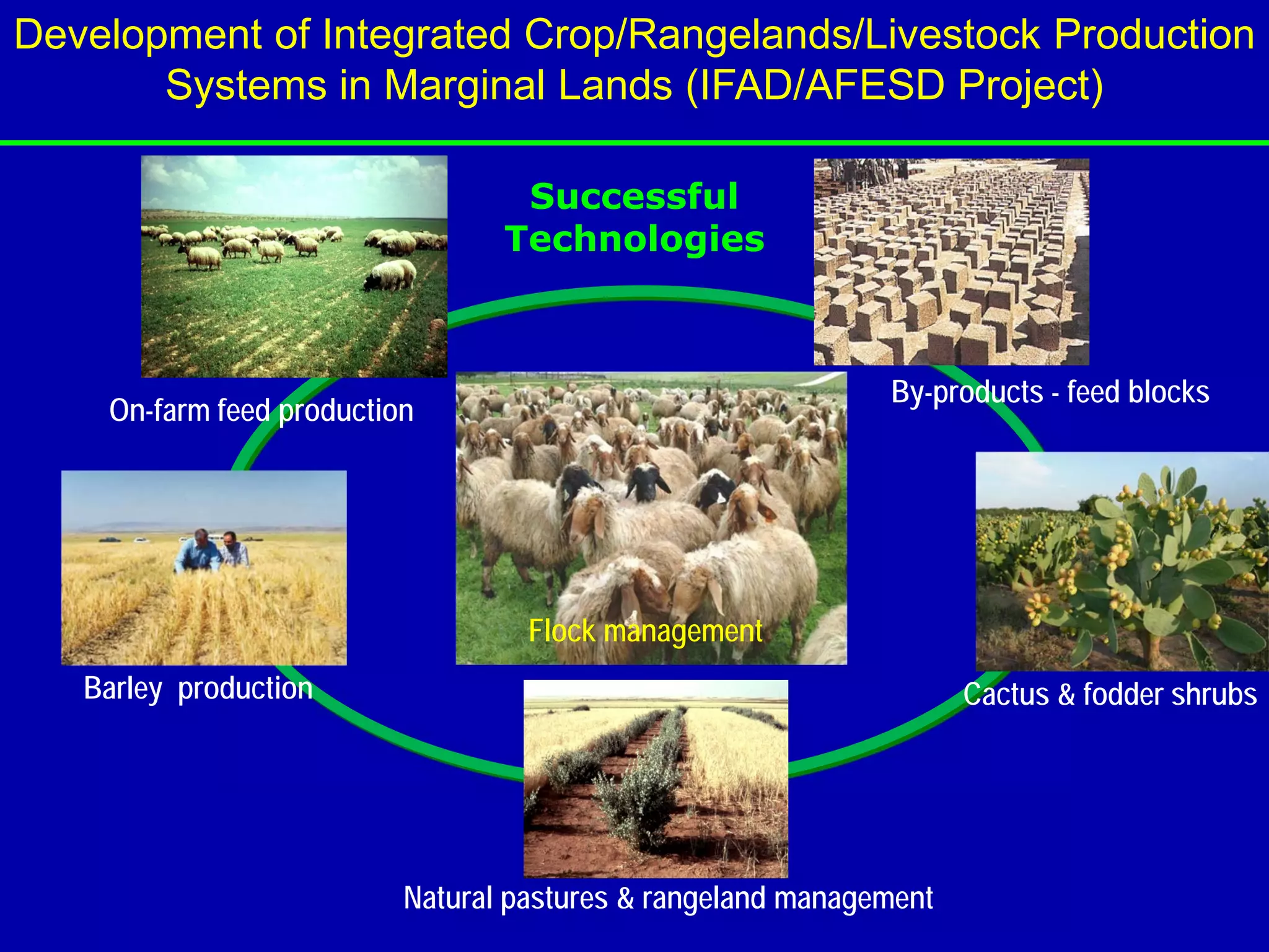Development of Integrated Crop/Rangelands/Livestock Production
       Systems in Marginal Lands (IFAD/AFESD Project)

                                  Successful
                                 Technologies



                                                             By-products - feed blocks
    On-farm feed production




                                   Flock management
   Barley production                                                Cactus & fodder shrubs




                          Natural pastures & rangeland management
 