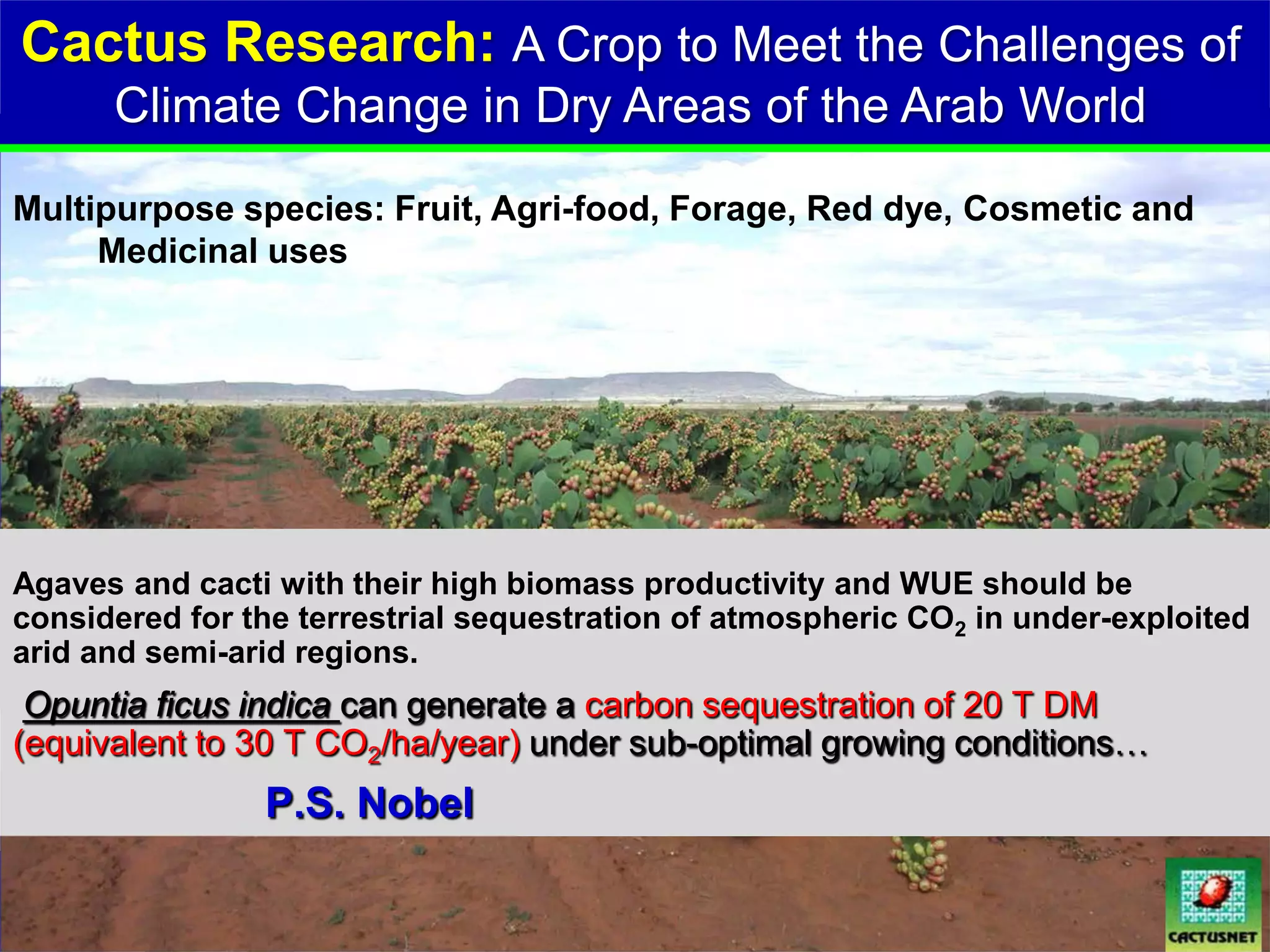 Cactus Research: A Crop to Meet the Challenges of
      Climate Change in Dry Areas of the Arab World
Multipurpose species: Fruit, Agri-food, Forage, Red dye, Cosmetic and
     Medicinal uses




Agaves and cacti with their high biomass productivity and WUE should be
considered for the terrestrial sequestration of atmospheric CO2 in under-exploited
arid and semi-arid regions.
 Opuntia ficus indica can generate a carbon sequestration of 20 T DM
(equivalent to 30 T CO2/ha/year) under sub-optimal growing conditions…
                P.S. Nobel
 