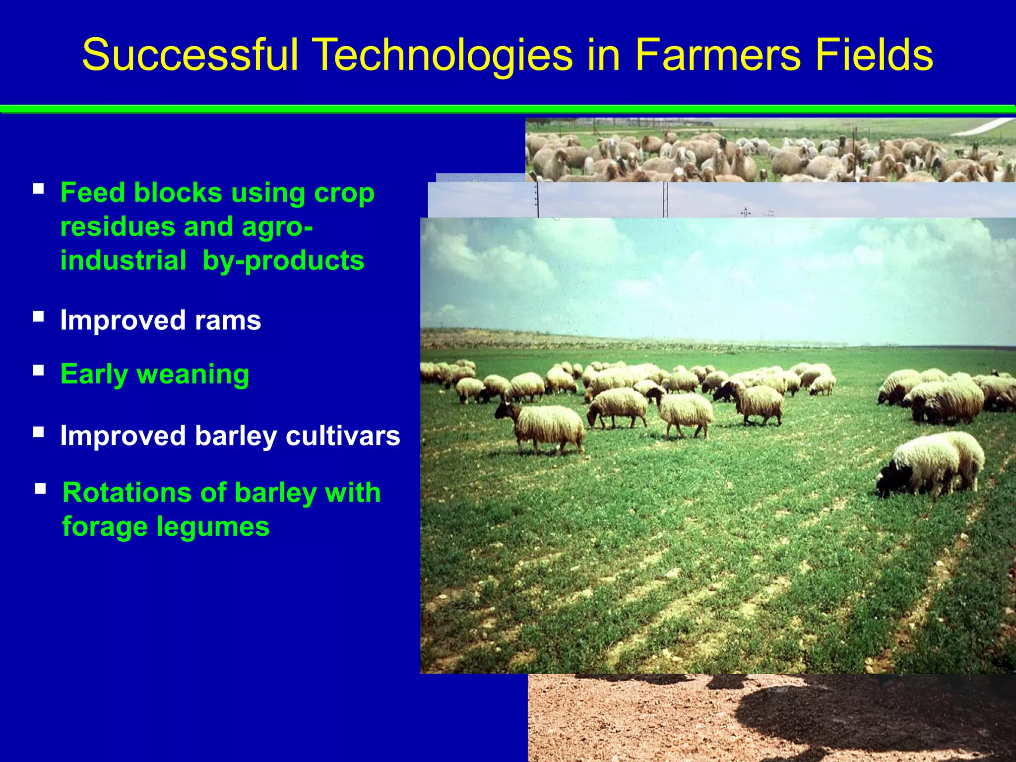 Successful Technologies in Farmers Fields

   Feed blocks using crop
    residues and agro-
    industrial by-products

   Improved rams
   Early weaning

   Improved barley cultivars

   Rotations of barley with
    forage legumes
 