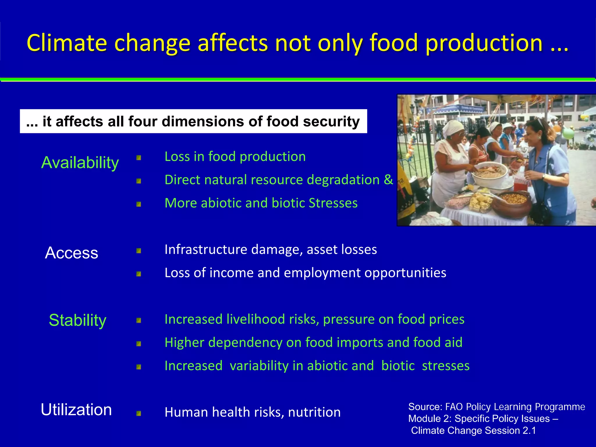 Climate change affects not only food production ...

... it affects all four dimensions of food security

  Availability       Loss in food production
                     Direct natural resource degradation &
                     More abiotic and biotic Stresses


  Access             Infrastructure damage, asset losses
                     Loss of income and employment opportunities


   Stability         Increased livelihood risks, pressure on food prices
                     Higher dependency on food imports and food aid
                     Increased variability in abiotic and biotic stresses

                                                              Source: FAO Policy Learning Programme
  Utilization        Human health risks, nutrition            Module 2: Specific Policy Issues –
                                                              Climate Change Session 2.1
 