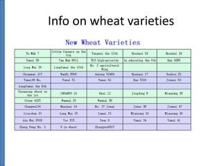 Info on wheat varieties

 