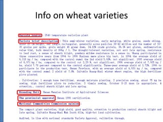 Info on wheat varieties

 