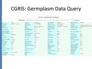 CGRIS: Germplasm Data Query

 