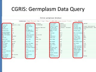 CGRIS: Germplasm Data Query

 