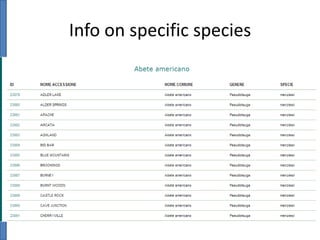 Info on specific species

 