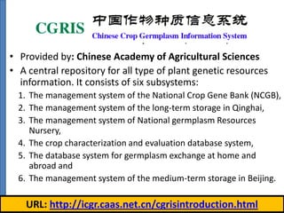 Chinese Crop Germplasm
Information System (CGRIS)
• Provided by: Chinese Academy of Agricultural Sciences
• A central repository for all type of plant genetic resources
information. It consists of six subsystems:
1. The management system of the National Crop Gene Bank (NCGB),
2. The management system of the long-term storage in Qinghai,
3. The management system of National germplasm Resources
Nursery,
4. The crop characterization and evaluation database system,
5. The database system for germplasm exchange at home and
abroad and
6. The management system of the medium-term storage in Beijing.

URL: http://icgr.caas.net.cn/cgrisintroduction.html

 