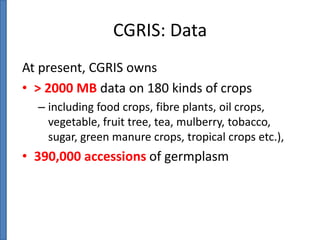 CGRIS: Data
At present, CGRIS owns
• > 2000 MB data on 180 kinds of crops
– including food crops, fibre plants, oil crops,
vegetable, fruit tree, tea, mulberry, tobacco,
sugar, green manure crops, tropical crops etc.),

• 390,000 accessions of germplasm

 