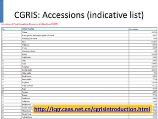 CGRIS: Accessions (indicative list)

http://icgr.caas.net.cn/cgrisintroduction.html

 