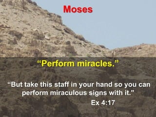Moses
“Perform miracles.”
“But take this staff in your hand so you can
perform miraculous signs with it."
Ex 4:17
 