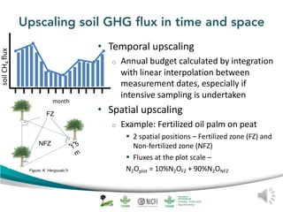 Peat emission factors: Scientific background