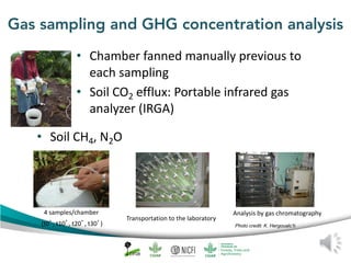 Peat emission factors: Scientific background