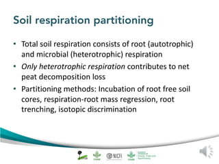 Peat emission factors: Scientific background