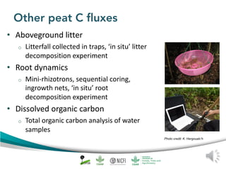Peat emission factors: Scientific background