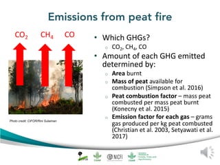Peat emission factors: Scientific background