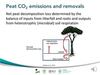 Peat emission factors: Scientific background