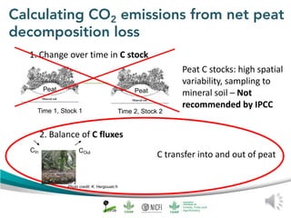 Peat emission factors: Scientific background
