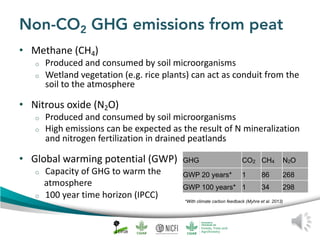 Peat emission factors: Scientific background