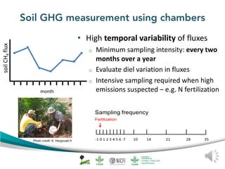 Peat emission factors: Scientific background