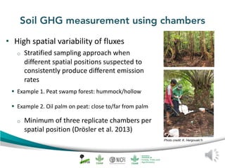 Peat emission factors: Scientific background