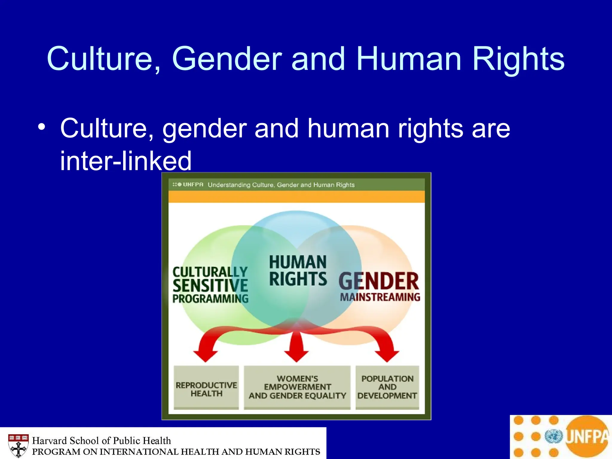 Culture, Gender and Human Rights
• Culture, gender and human rights are
inter-linked
 