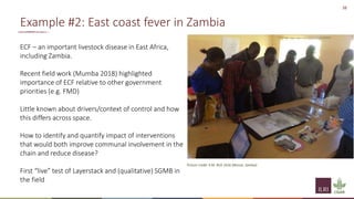 Principles of group model building and spatial group model building